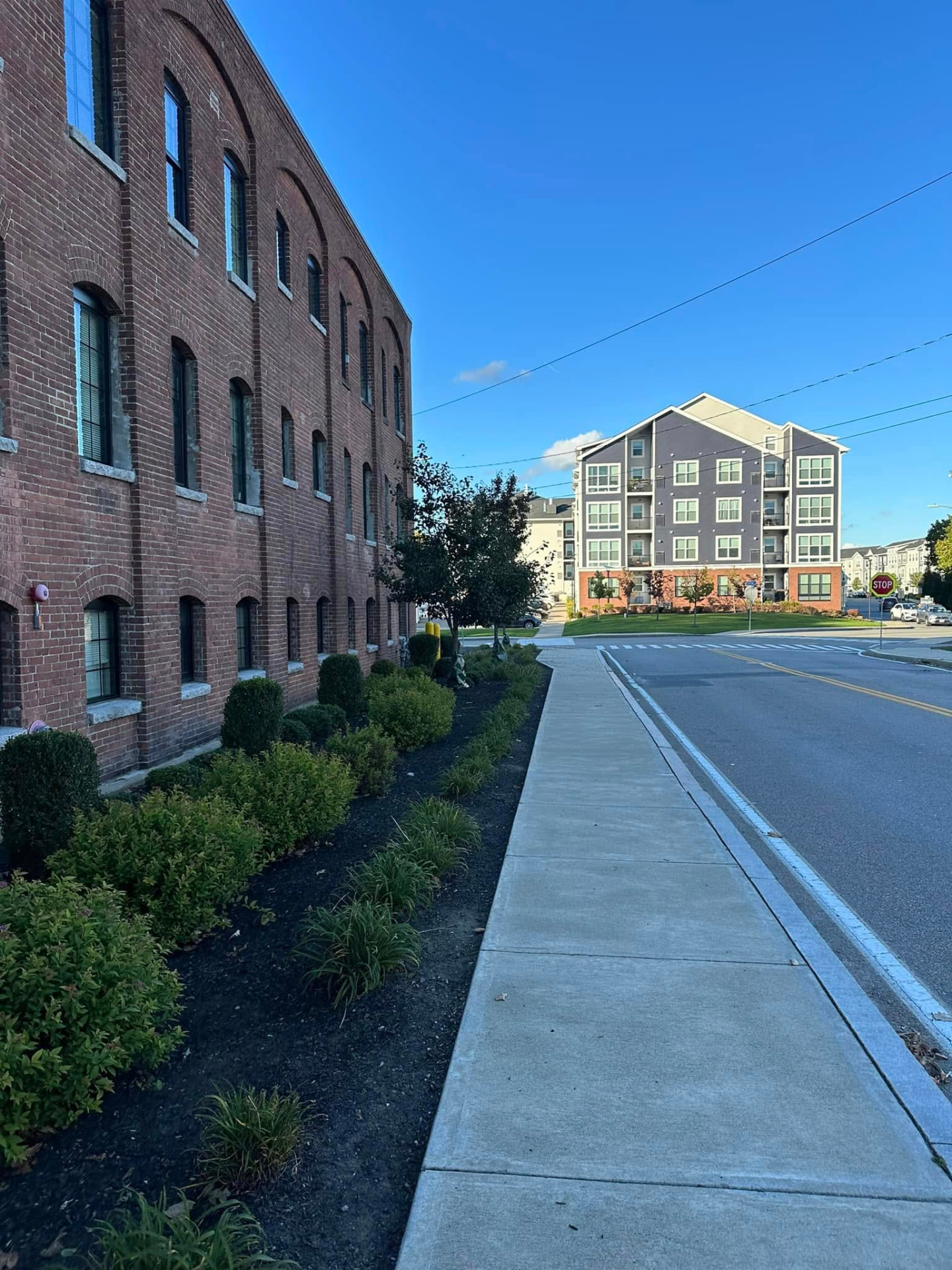 Trimmed shrubs and fresh mulch along a brick commercial building