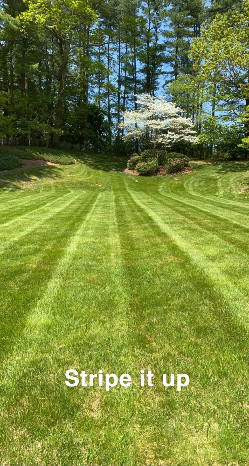 Striped, freshly cut lawn on a suburban Massachusetts property